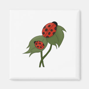 Zwei niedliche Ladybugs auf einer Pflanze Magnet