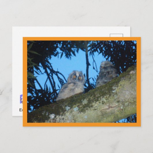 Zwei Niedliche Langweiler im Baum DIY Postkarte (Vorne/Hinten)