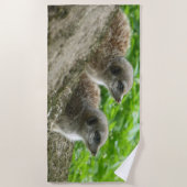 Zwei Niedliche Meerkats Strandtuch (Vorderseite)