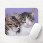 Zwei niedliche Nickerchen machende Kätzchen Mousepad (Mit Mouse)