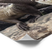 Zwei Niedliche Otter | Otter Poster (Ecke)