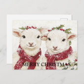 Zwei Niedliche Schafe Postkarte (Vorne/Hinten)