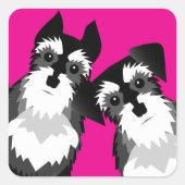 Zwei Niedliche Schnauzer Quadratischer Aufkleber (Vorderseite)