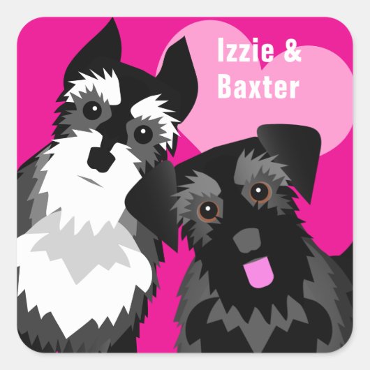 Zwei Niedliche Schnauzer Quadratischer Aufkleber (Vorderseite)