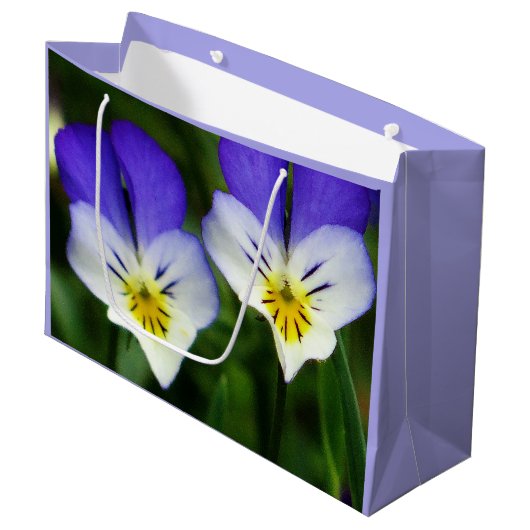 Zwei Niedliche Viola Blume Geschenktasche Große Geschenktüte (Vorderseite Schrägansicht)