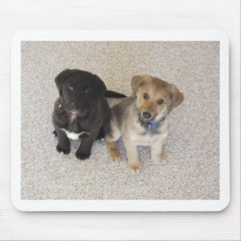 Zwei Niedliche Welpen Mousepad