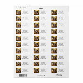 Zwei Niedliche Welpen spielen in Herbstlauben (Vorne)