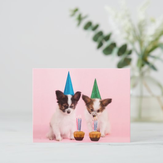 Zwei Niedliche Welpen /W Birthday Hats & Candles Postkarte (Stehend Vorderseite)