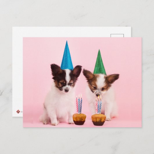 Zwei Niedliche Welpen /W Birthday Hats & Candles Postkarte (Vorne/Hinten)