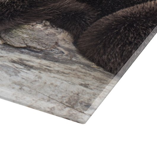 Zwei niedlicher Otter der Otter-| Schneidebrett (Ecke)