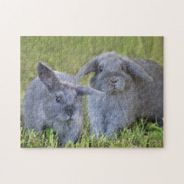 Zwei niedliches Baby-graue Puzzle