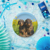 Zwei niedliches Dackel-HundDackel Foto-lustiges Pappteller (Party)