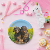 Zwei niedliches Dackel-HundDackel Foto-lustiges Pappteller (Party)