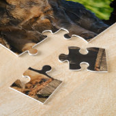 Zwei niedliches Dackel-HundDackel Foto - Spiel Puzzle (Seite)