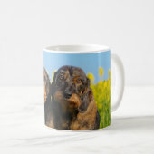 Zwei niedliches Dackel-HundDackel Porträt-Foto _ Kaffeetasse (VorderseiteRechts)