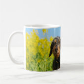 Zwei niedliches Dackel-HundDackel Porträt-Foto _ Kaffeetasse (Links)