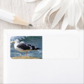 ZWEI OCEAN SEAGULLS WAVOLLS ROCK BEACH FOTOGRAFIE (Insitu)