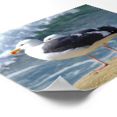 ZWEI OCEAN SEAGULLS WAVOLLS ROCK BEACH FOTOGRAFIE  POSTER (Ecke)