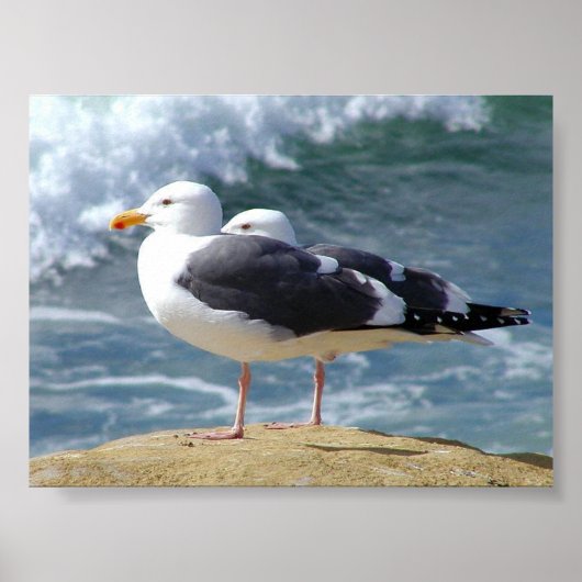 ZWEI OCEAN SEAGULLS WAVOLLS ROCK BEACH FOTOGRAFIE  POSTER (Vorne)