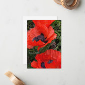 Zwei Orange Oriental Poppies Mitteilungskarte (Vorderseite/Rückseite Beispiel)