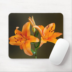 Zwei orange Tiger-Lilien und Knospen-Fotografie Mousepad
