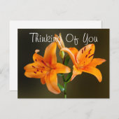 Zwei Orange Tiger Lilies and Buds Fotografie Postkarte (Vorne/Hinten)