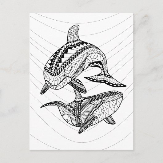 Zwei Orcas Erwachsene - Farbgebung Postkarte (Vorderseite)