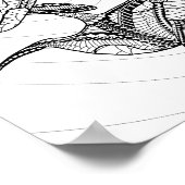 Zwei Orcas Erwachsenenfarbposter Poster (Ecke)