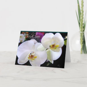 Zwei Orchid Dankeschön Karten