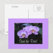 Zwei Orchideen Postkarte (Vorne/Hinten)