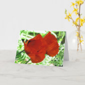 Zwei orientalische Mohnblumen-Blumen-Foto Karte (Gelbe Blume)