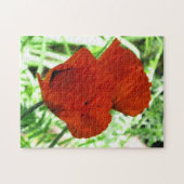 Zwei orientalische Poppies Blume Foto Puzzle (Horizontal)