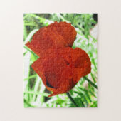 Zwei orientalische Poppies Blume Foto Puzzle (Vertikal)