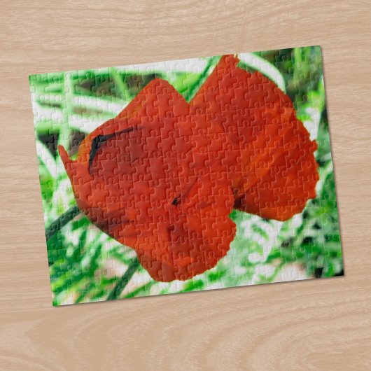 Zwei orientalische Poppies Blume Foto Puzzle