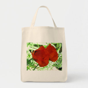 Zwei orientalische Poppies Blume Foto Tragetasche