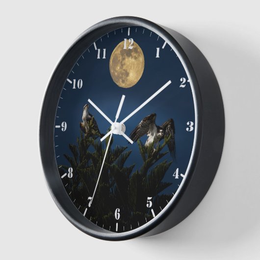 Zwei Ospreys bei Vollmond Uhr (Winkel)