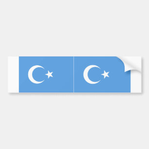 ZWEI Ost-Turkestan-Uigurische Flagge Autoaufkleber