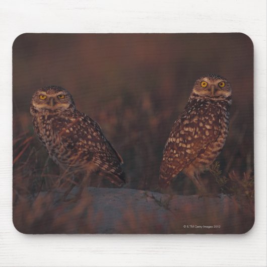 Zwei Owls auf Sand Mousepad (Vorne)