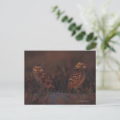 Zwei Owls auf Sand Postkarte (Stehend Vorderseite)