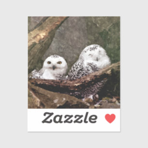 Zwei Owls Aufkleber