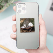Zwei Owls Aufkleber (Telefon)