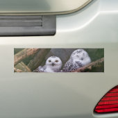 Zwei Owls Autoaufkleber (Auf Auto)