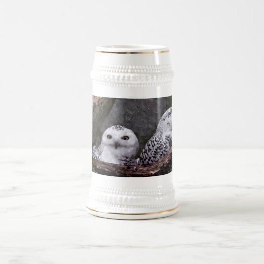 Zwei Owls Bierglas (Mittel)