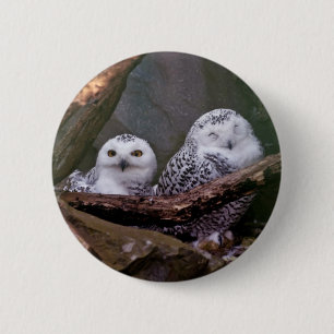 Zwei Owls Button