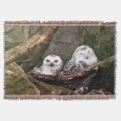 Zwei Owls Decke (Vorderseite)