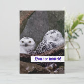 Zwei Owls Einladung (Stehend Vorderseite)
