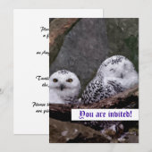 Zwei Owls Einladung (Vorne/Hinten)