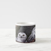 Zwei Owls Espressotasse (Vorderseite)