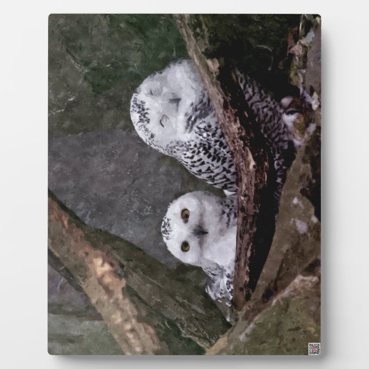Zwei Owls Fotoplatte (Vorderseite)