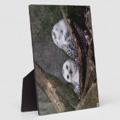 Zwei Owls Fotoplatte (Seite)